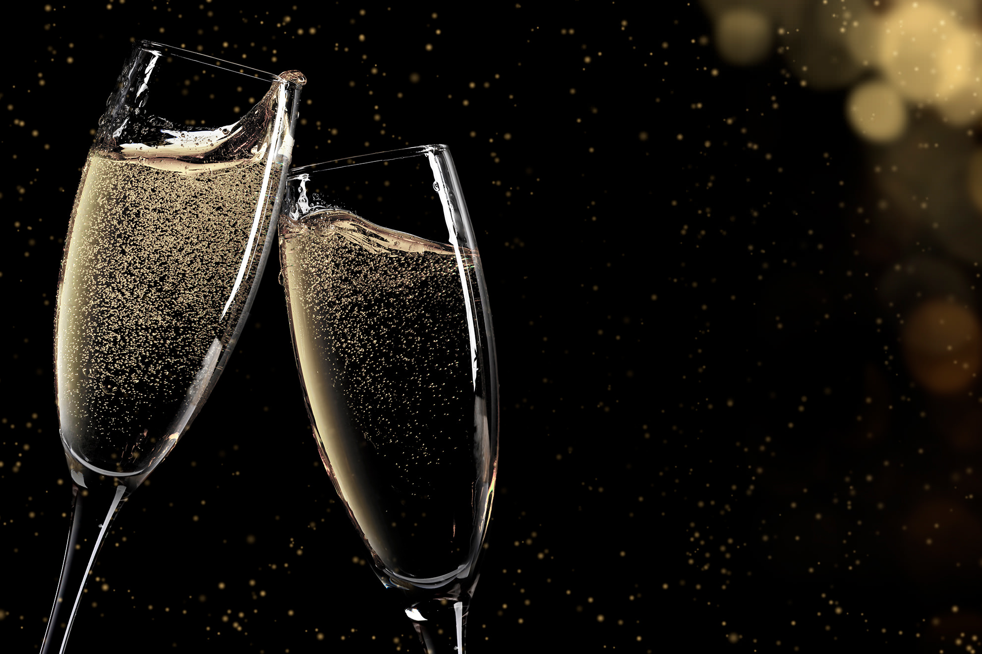 Services 18 yacht charter miami celebrations